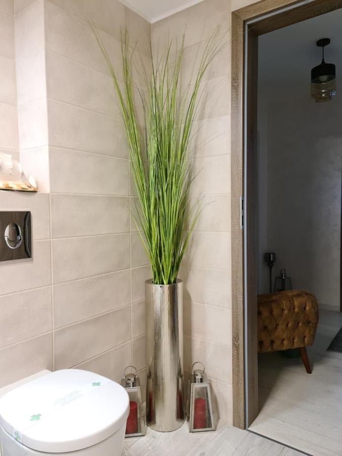 Apartment Alonisos Lux Braşov Exteriör bild
